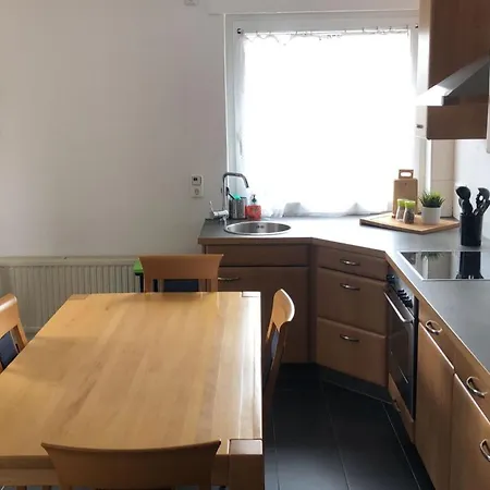 Ferienwohnung Boehl 95160